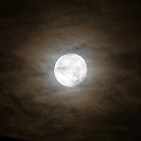 D71_9370 Cloud shrouded Thurs am moon