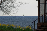 D5C_7050 Lone sailboat on the York River Easter mornig