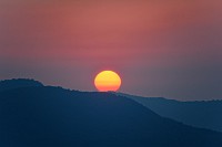 Sunrise over the ridge, large Katydid