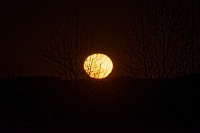 Full moon rise over Spring Pond